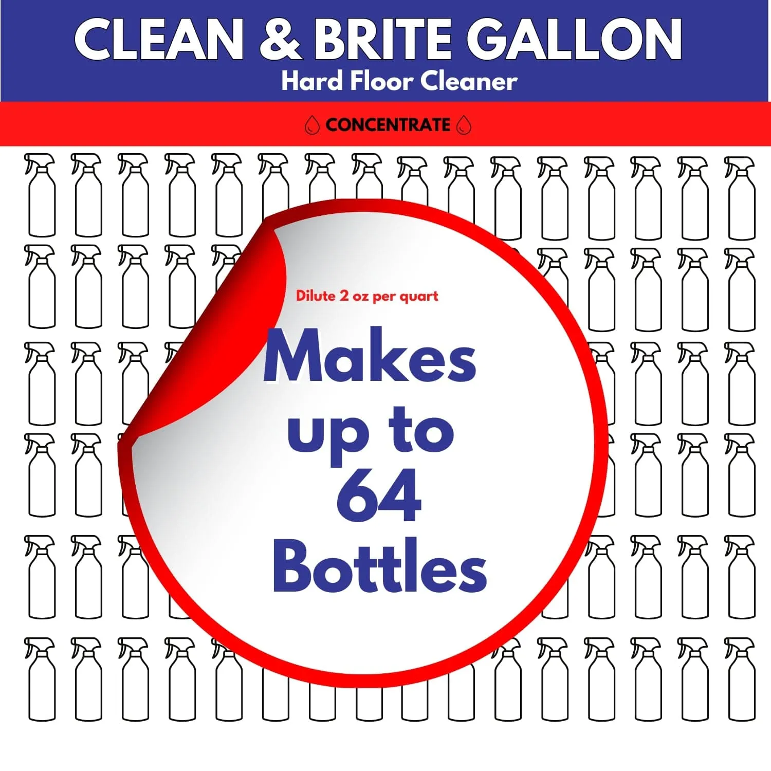 BULK CASE: Don Aslett Clean & Brite – 4 GALLONS