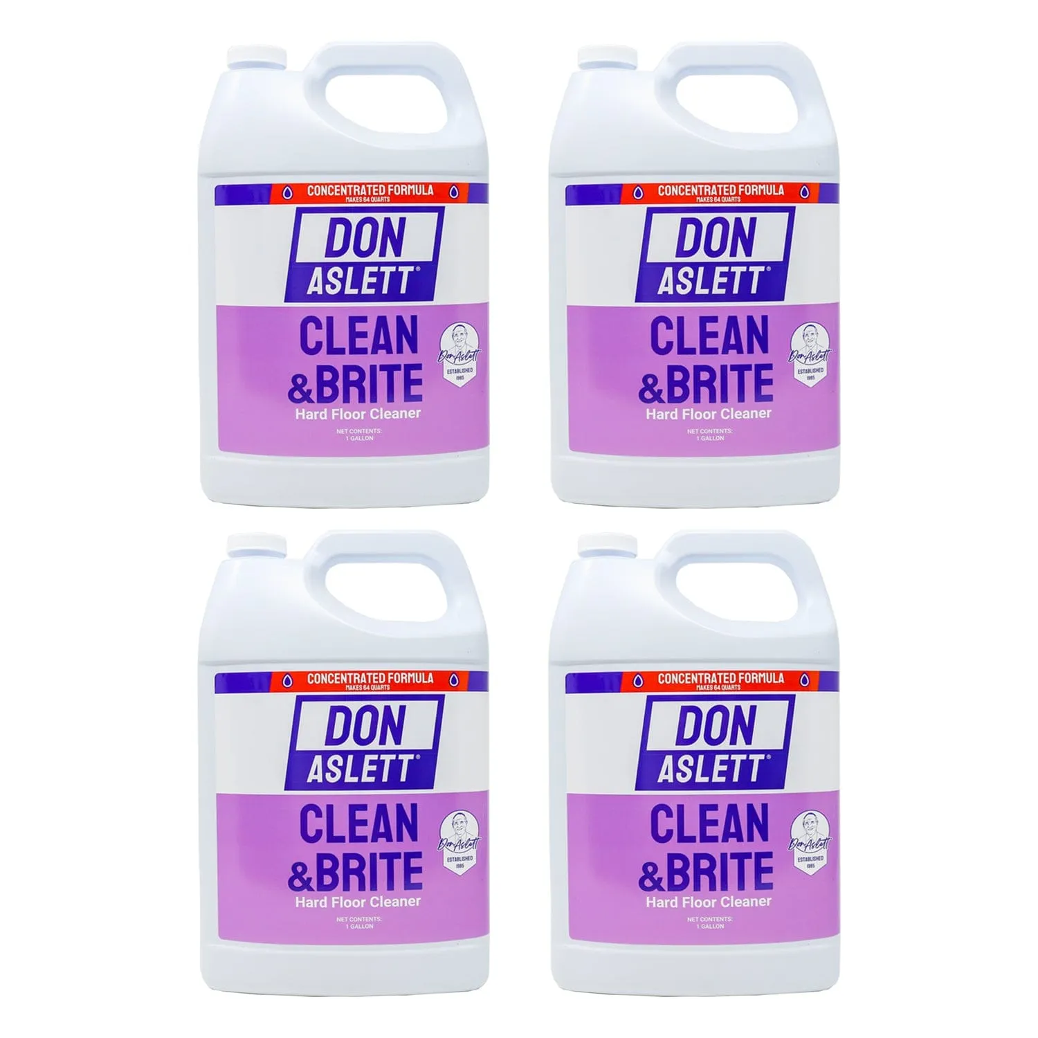 BULK CASE: Don Aslett Clean & Brite – 4 GALLONS
