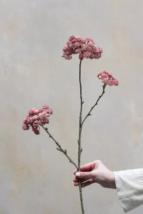 Faux Mauve Sedum Spray