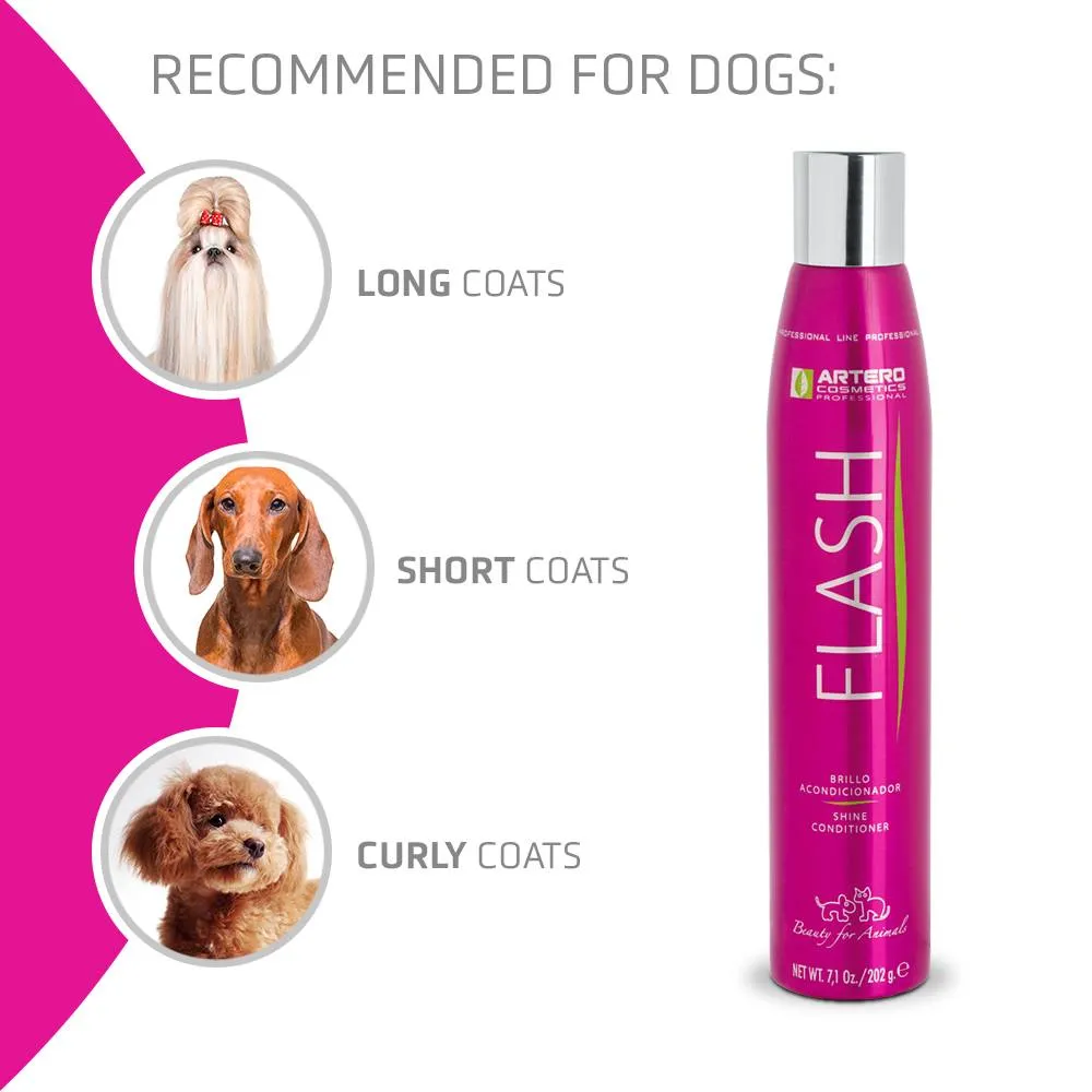 Flash Shine/Conditioning 300ml