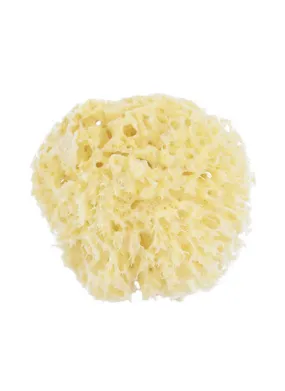 Hydrea Honeycomb Sea Sponge Small