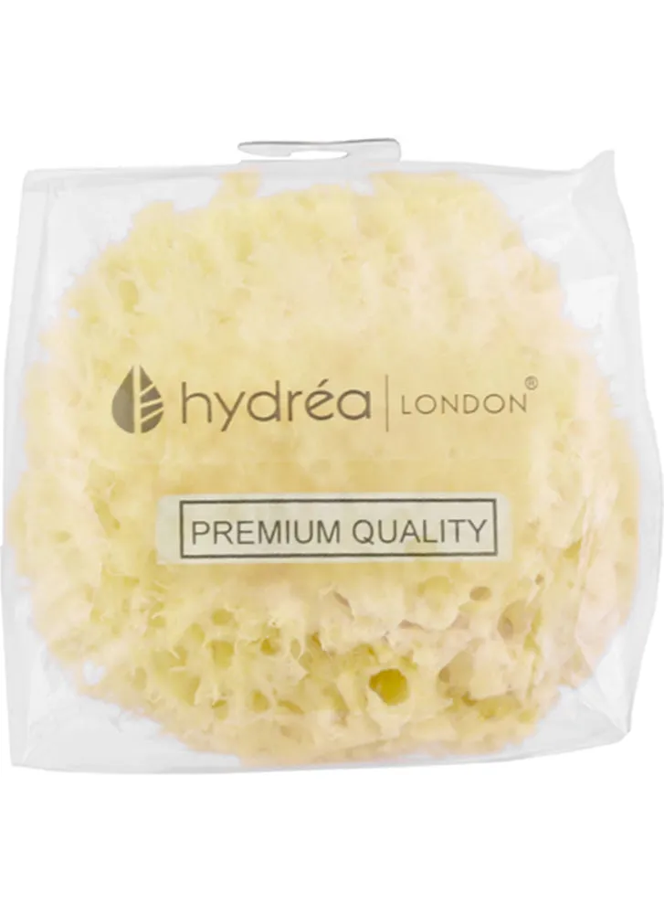 Hydrea Honeycomb Sea Sponge Small