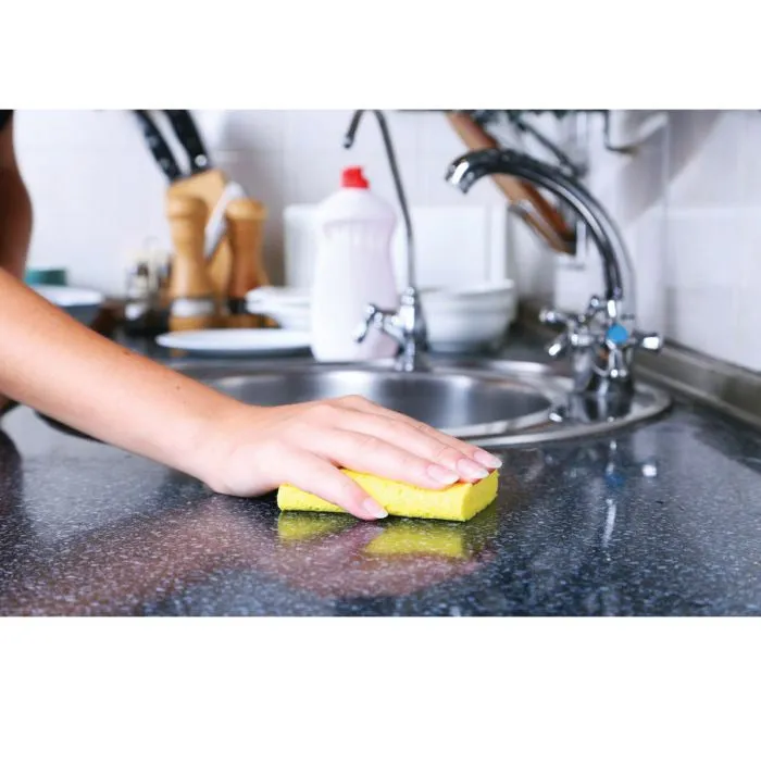 Kitchen Pop Up Sponges Set/4