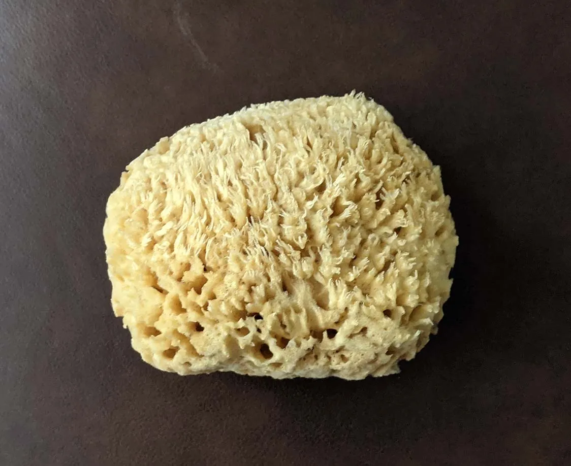 Premium 6" Wool Bath Sponge